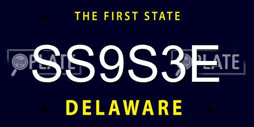 SS9S3E Delaware License Plate
