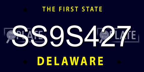 SS9S427 Delaware License Plate