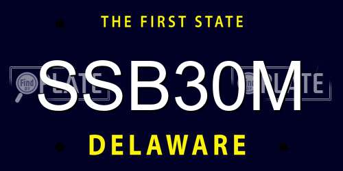 SSB30M Delaware License Plate