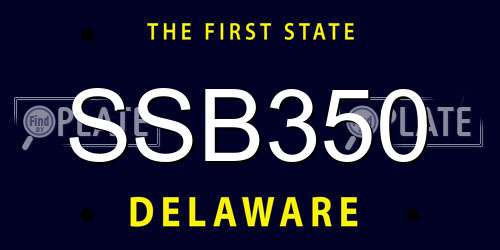SSB350 Delaware License Plate