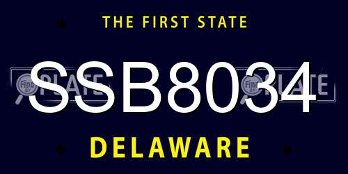 SSB8034 Delaware License Plate