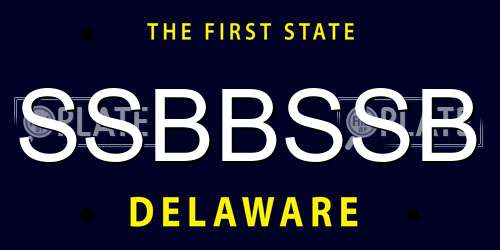 SSBBSSB Delaware License Plate
