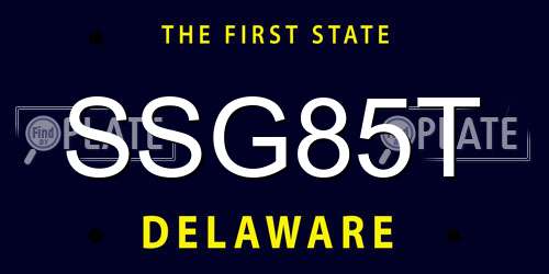 SSG85T Delaware License Plate