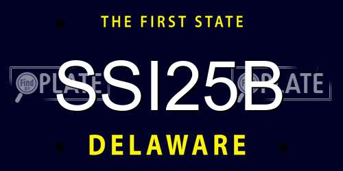 SSI25B Delaware License Plate