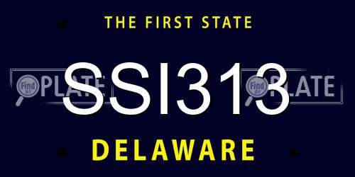 SSI313 Delaware License Plate