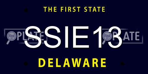 SSIE13 Delaware License Plate