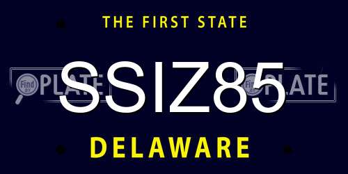 SSIZ85 Delaware License Plate