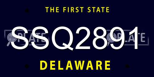 SSQ2891 Delaware License Plate