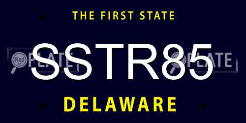 SSTR85 Delaware License Plate