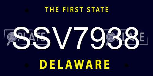 SSV7938 Delaware License Plate