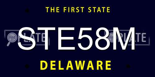 STE58M Delaware License Plate