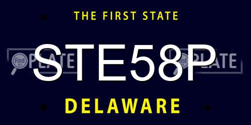 STE58P Delaware License Plate