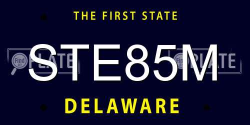 STE85M Delaware License Plate