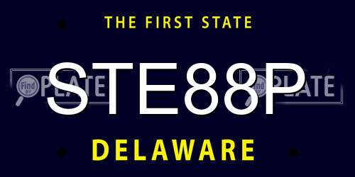 STE88P Delaware License Plate
