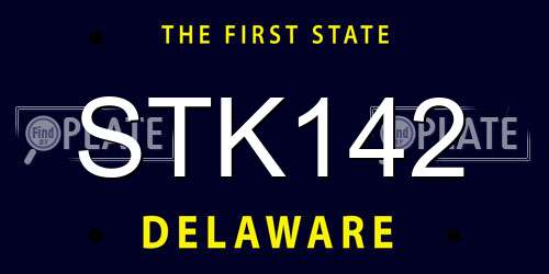 STK142 Delaware License Plate