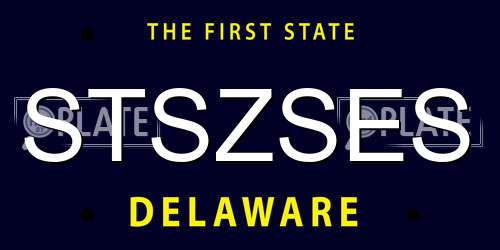 STSZSES Delaware License Plate