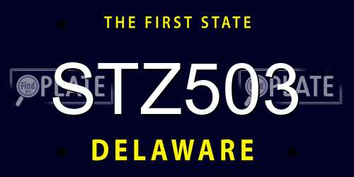 STZ503 Delaware License Plate