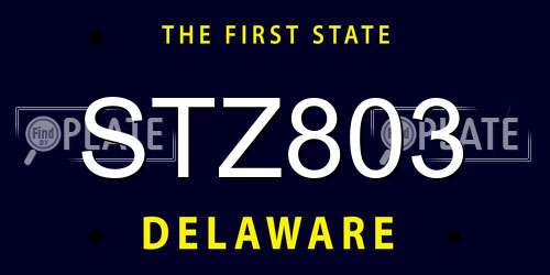 STZ803 Delaware License Plate