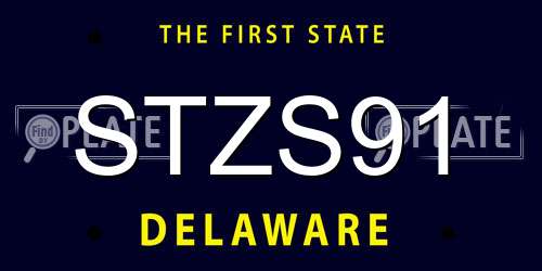 STZS91 Delaware License Plate