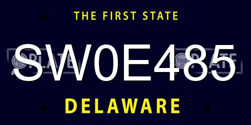 SW0E485 Delaware License Plate