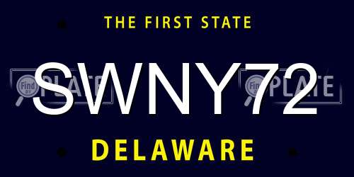 SWNY72 Delaware License Plate