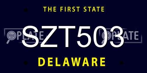 SZT503 Delaware License Plate