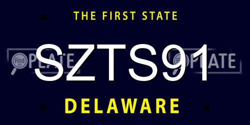 SZTS91 Delaware License Plate