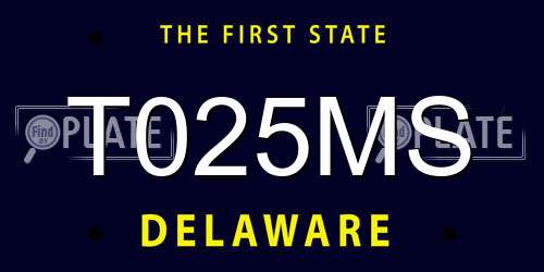 T025MS Delaware License Plate