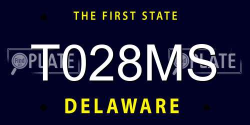 T028MS Delaware License Plate