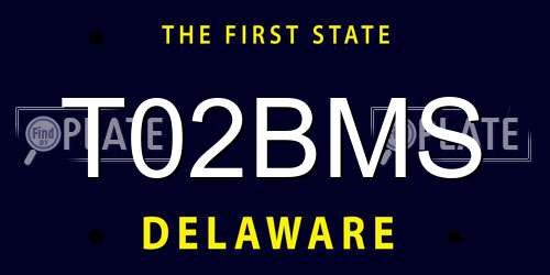T02BMS Delaware License Plate