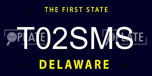 T02SMS Delaware License Plate