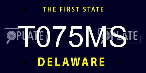 T075MS Delaware License Plate