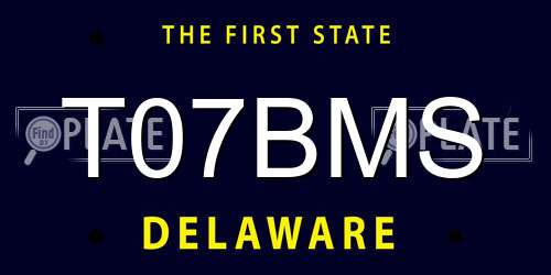 T07BMS Delaware License Plate