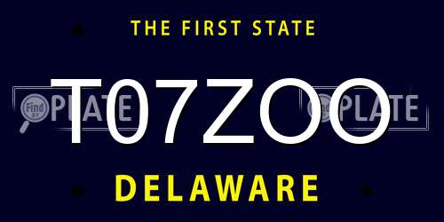 T07ZOO Delaware License Plate