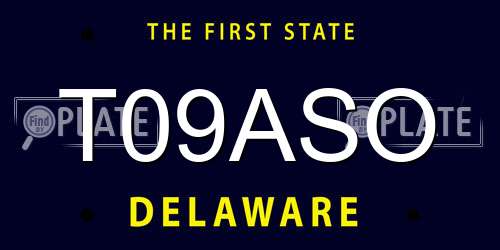 T09ASO Delaware License Plate