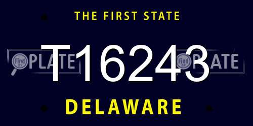 T16243 Delaware License Plate