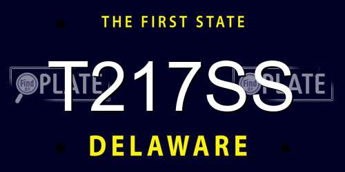 T217SS Delaware License Plate