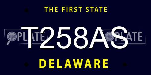 T258AS Delaware License Plate