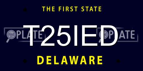 T25IED Delaware License Plate