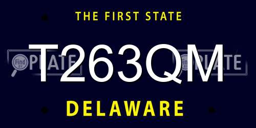 T263QM Delaware License Plate