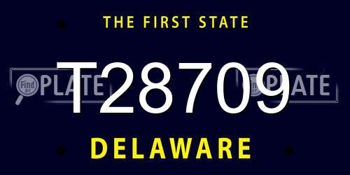 T28709 Delaware License Plate