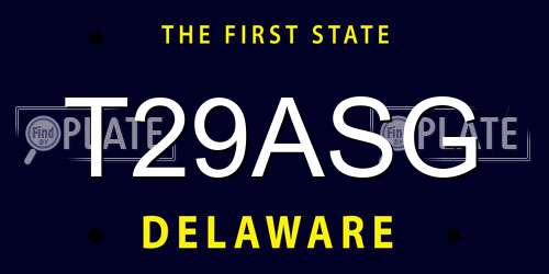 T29ASG Delaware License Plate