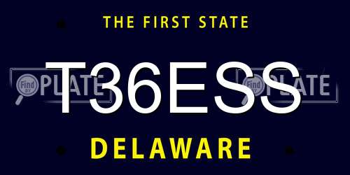 T36ESS Delaware License Plate