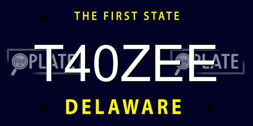 T40ZEE Delaware License Plate