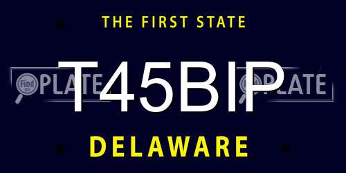 T45BIP Delaware License Plate