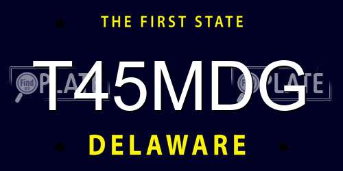 T45MDG Delaware License Plate