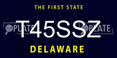 T45SSZ Delaware License Plate
