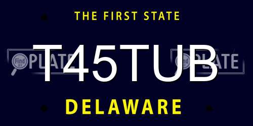 T45TUB Delaware License Plate