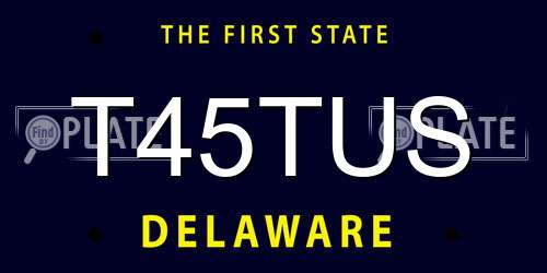 T45TUS Delaware License Plate