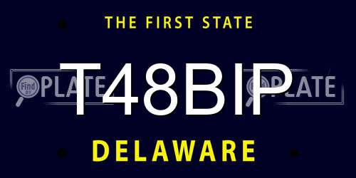T48BIP Delaware License Plate